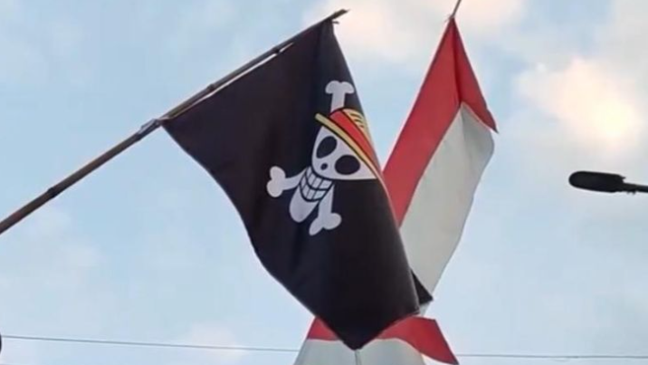 Bendera One Piece Ramai Dikibarkan Jelang HUT RI ke-80, DPR Ingatkan Potensi Provokasi