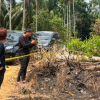 Bakar Pohon untuk Usir Nyamuk, Pria di Inhu Jadi Tersangka Karhutla 1,5 Hektare