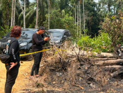 Bakar Pohon untuk Usir Nyamuk, Pria di Inhu Jadi Tersangka Karhutla 1,5 Hektare