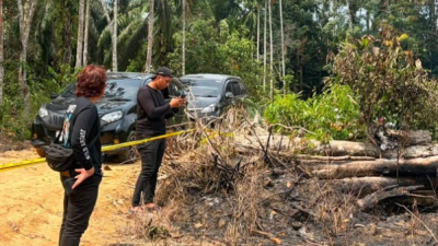 Bakar Pohon untuk Usir Nyamuk, Pria di Inhu Jadi Tersangka Karhutla 1,5 Hektare