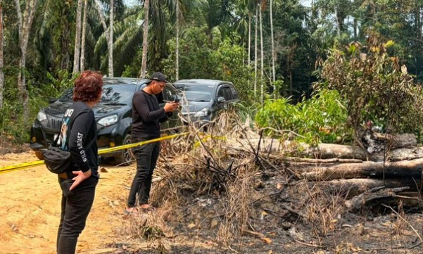 Bakar Pohon untuk Usir Nyamuk, Pria di Inhu Jadi Tersangka Karhutla 1,5 Hektare